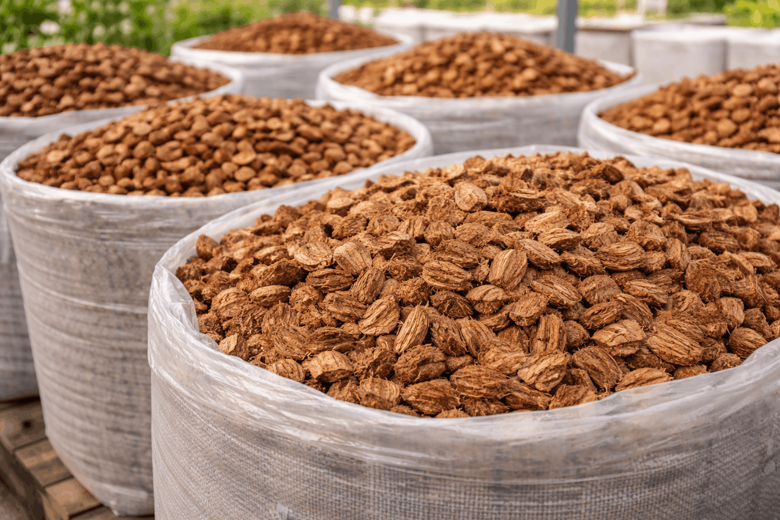 02 Coco Chips (Coco Husk Chips)